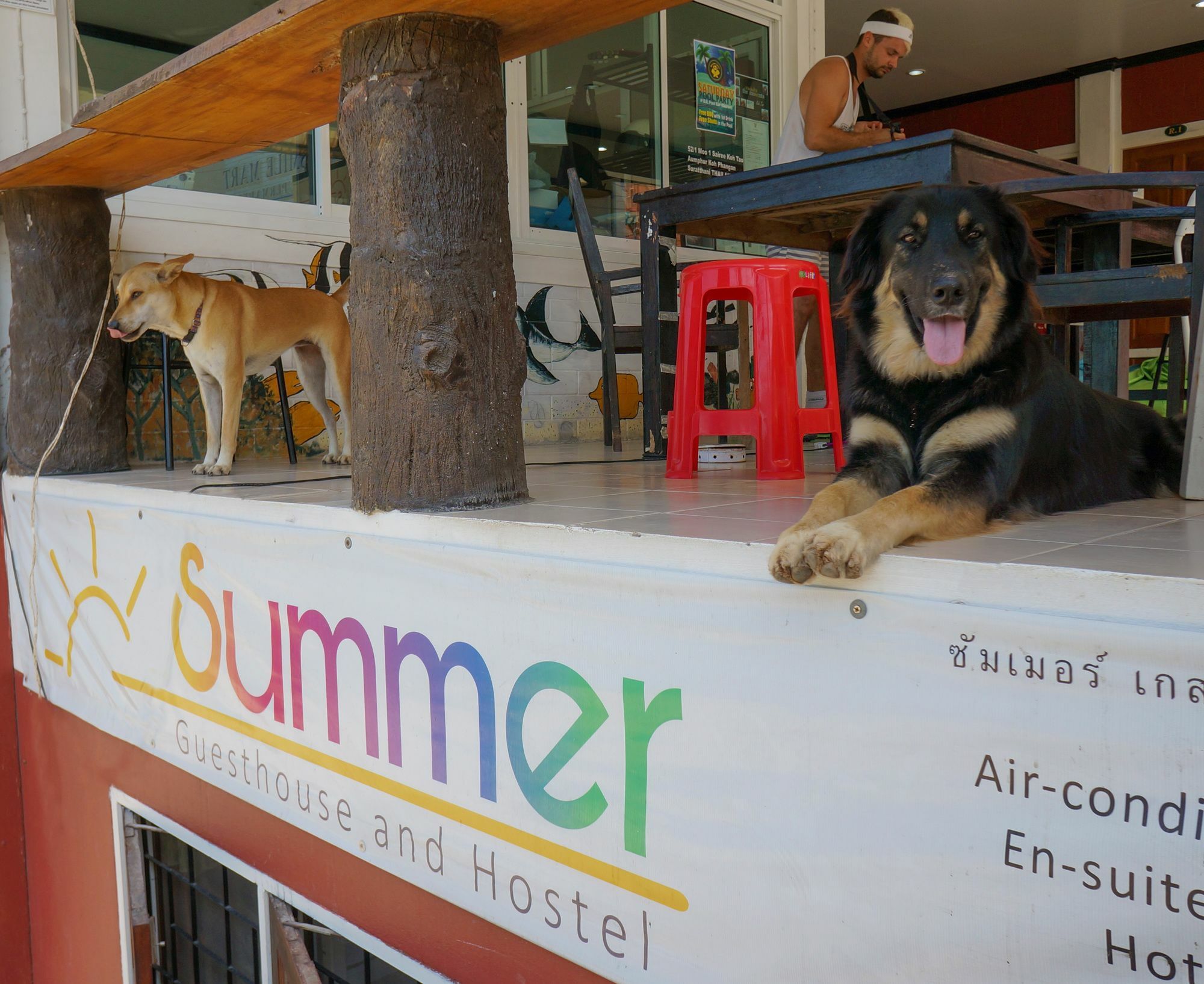 Summer Guesthouse And Hostel Ko Tao Ngoại thất bức ảnh